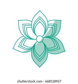 Spa flower isolated