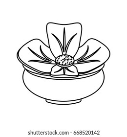 Spa flower isolated
