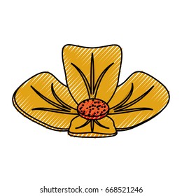 Spa flower isolated
