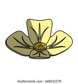 Spa flower isolated