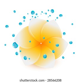 Spa flower with water drops