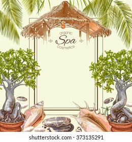 Spa frame in exotic style with  bonsai plants, bungalow roof ,shells and palm leaves.Design for cosmetics, store,spa and beauty salon or travel agency.Can be used as greeting card.Vector illustration