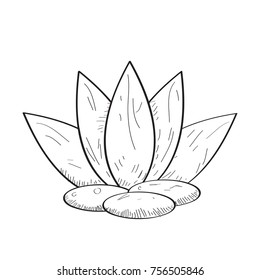 Spa icon isolated on white background, Lotus flower, Vector illustration