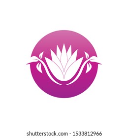 SPA icon and symbol vector illustration