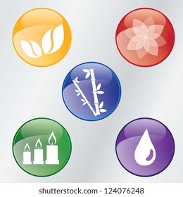 spa icons over light background vector illustration