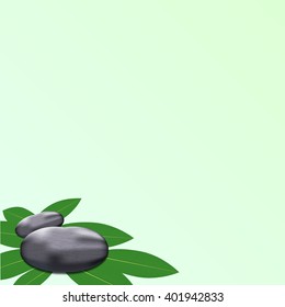 spa leaves stone background to add text
