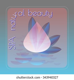 Spa natural beauty theme vector illustration with drops  on blue  background.