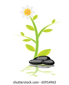 Spa objects on a isolated background,vector