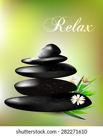 Spa pebbles on light green background