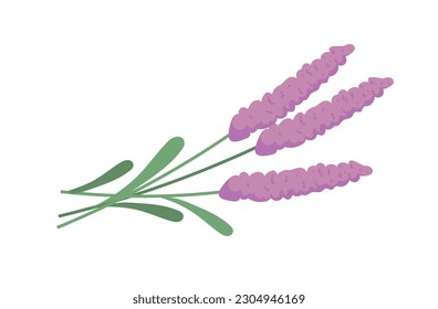 Spa plants concept. Violet flowers and plants with pleasant aroma. Aesthetics and elegance. Poster or banner for website. Cartoon flat vector illustration isolated on white background