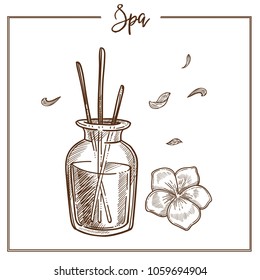 SPA salon aromatherapy essential oil treatment vector sketch icon