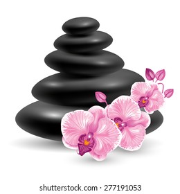Spa still life with black massage stones and pink orchids flower. Vector illustration. Isolated on white background.