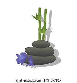 Spa stones. Bamboo and flowers. Vector illustration