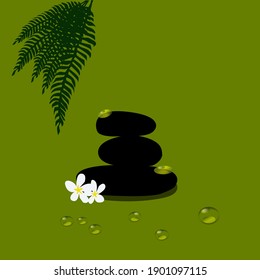 Spa stones with plumeria flowers, fern leaves and water drops on a light green background. Vector illustration.