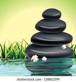 Spa stones vector