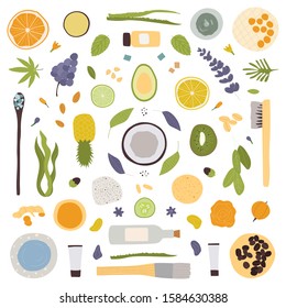 Spa treatment concept, flat lay collection with natural cosmetic products peeling and massage brushes. View from above, organic natural beauty clipart. Vector