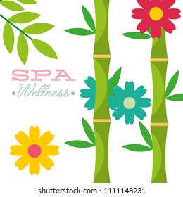 spa wellness related