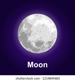 Space moon icon. Isometric of space moon vector icon for web design