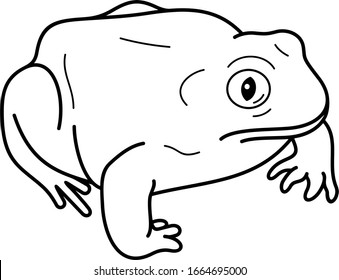 Spadefoot toad. Vector outline icon.