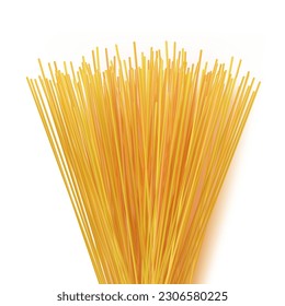 Spaghetti, Bucatini Or Perciatelli Pasta Isolated On White. EPS10 Vector