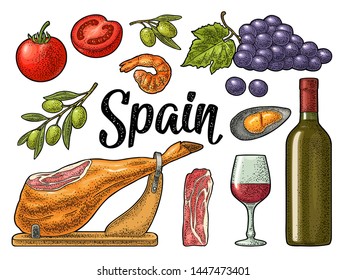 Spain traditional food set with jamon on wood, wine bottle and glass, bunch of grapes with berry and leaf, olives on branch, tomato, oyster, shrimp. Vector vintage color engraving isolated on white