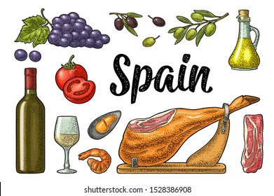 Spain traditional food set with jamon on wood, wine bottle and glass, bunch of grapes with berry and leaf, olives on branch, tomato, oyster, shrimp. Vector vintage color engraving isolated on white