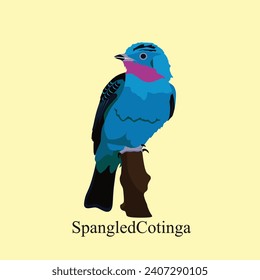 Vector Detallado de Pájaros Exóticos de Cotinga en espiral