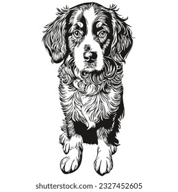 Spaniel Boykin dog black drawing vector, isolated face painting sketch line illustration