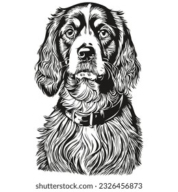 Spaniel Boykin dog realistic pencil drawing in vector, line art illustration of dog face black and white realistic breed pet