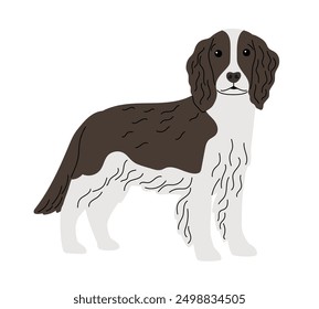 Spaniel breed dog authors work