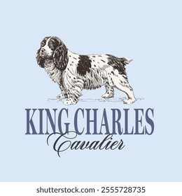 Spaniel Cavalier Dog Sketch Illustration Vector