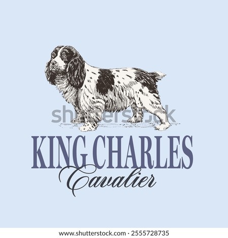 Spaniel Cavalier Dog Sketch Illustration Vector