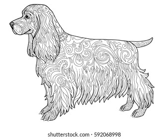 Spaniel dog doodle coloring book page for adult. Ethnic animal vector illustration. Vector illustration isolated on white.