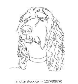 Spaniel dog one line print drawing
