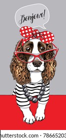 Spaniel Dog in a striped cardigan, in a red polka dot headband and in a big sunglasses. Vector illustration.