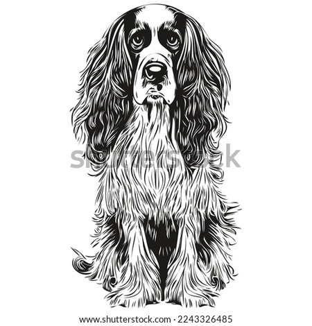 Spaniel English Springer dog hand drawn illustration, black and white vector pets logo line art
