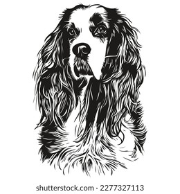 Spanisch English Springer dog, Vektorgrafik, handgezeichnete Linie Art Pets Logo schwarz-weiß

