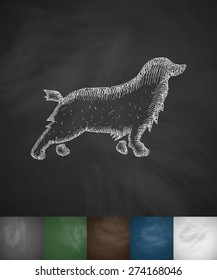 spaniel icon. Hand drawn vector illustration. Chalkboard Design