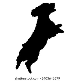 Spaniel jumping Dog silhouette Breeds Bundle Dogs on the move. Dogs in different poses.
The dog jumps, runs. dog is sitting. The dog is lying down  playing