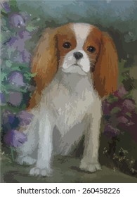 Spaniel puppy