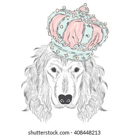 Spaniel wearing a crown . Vector illustration. Cute dog.
