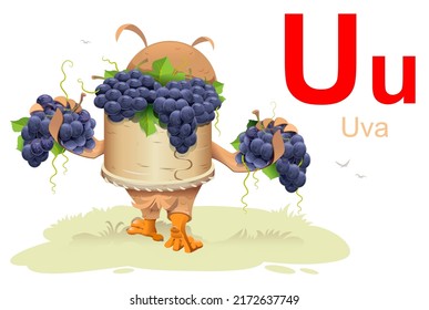 Spanish alphabet education abc order letter u grapes translation uva. Owl harvest and hold bunches of grapes. Vector cartoon illustration isolated on white