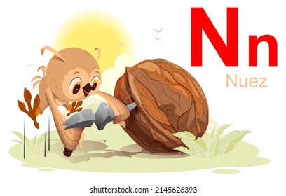 Spanish alphabet letter n nuez walnut translation spanish. Fun bird owl stab nut. Vector cartoon illustration isolated on white