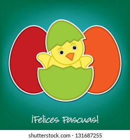 Spanish Baby Chick and eggs Easter card in vector format