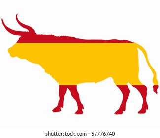 Spanish bull