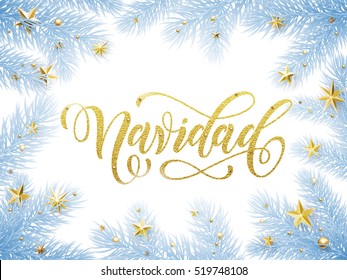 Spanish Christmas Spanish greeting card. Feliz Navidad poster template of pine and fir christmas tree branches, golden stars, ornament decorations. Calligraphy lettering text