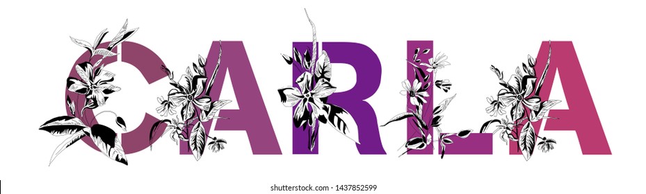 24-the-name-carla-images-stock-photos-vectors-shutterstock