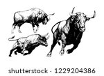 Spanish Fighting Bull ,sketch of a bull, Toro, animal illustration,freehand sketch illustration a set of bull, hand drawn illustration of bull on white background 