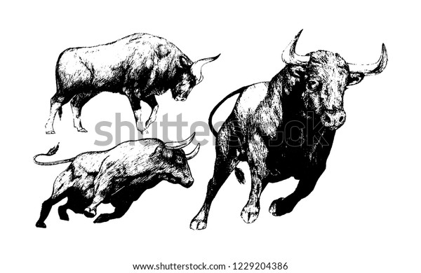 Bull De Combat Espagnol Croquis D Un Image Vectorielle De Stock Libre De Droits