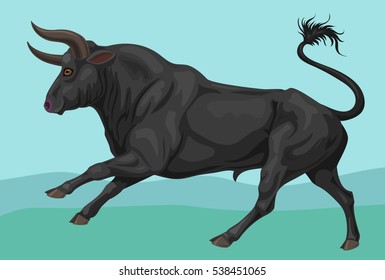 Spanish fighting bull toro bravo